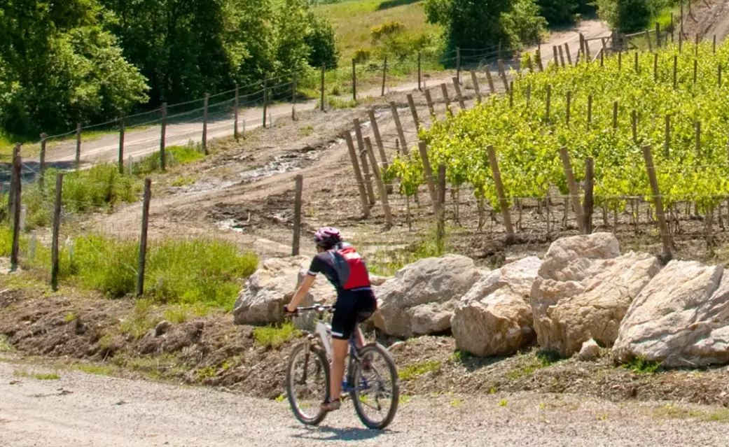 Esplora la Toscana in Bicicletta: Un Viaggio Indimenticabile Attraverso Paesaggi Mozzafiato