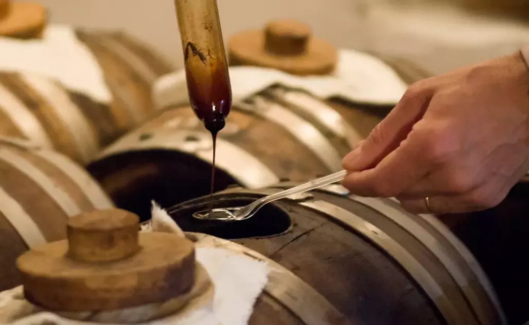 Un Viaggio Gastronomico Tra Aceto Balsamico e Lambrusco
