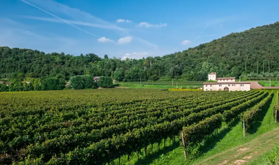 La Franciacorta: Un Viaggio Attraverso i Sapori e le Meraviglie di una Terra Unica