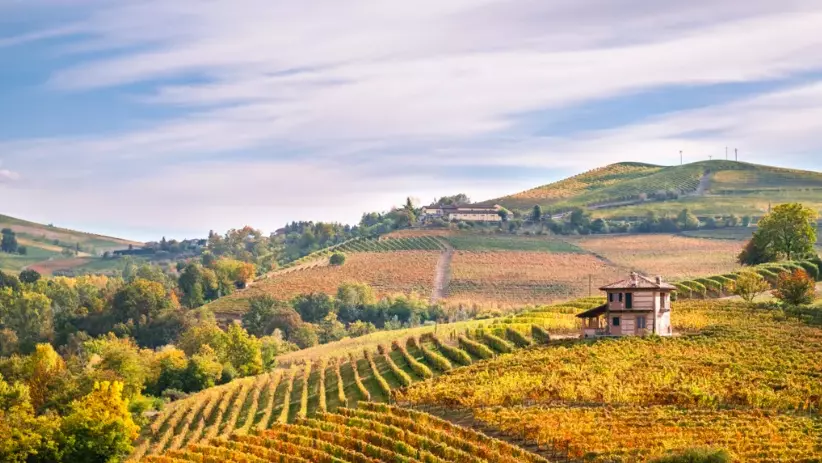 Scopri il Fascino Mozzafiato della Riviera dei Fiori e delle Langhe Piemontesi in Bicicletta