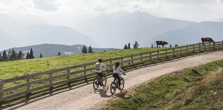 L'Altopiano del Salto: Un Paradiso Naturale nel Cuore dell'Alto Adige