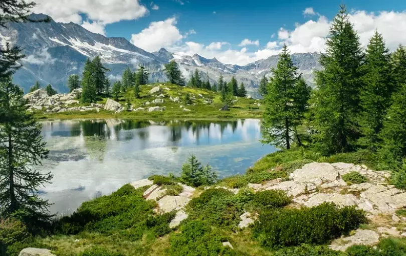 Un Paradiso Incontaminato: Il Parco Nazionale del Gran Paradiso