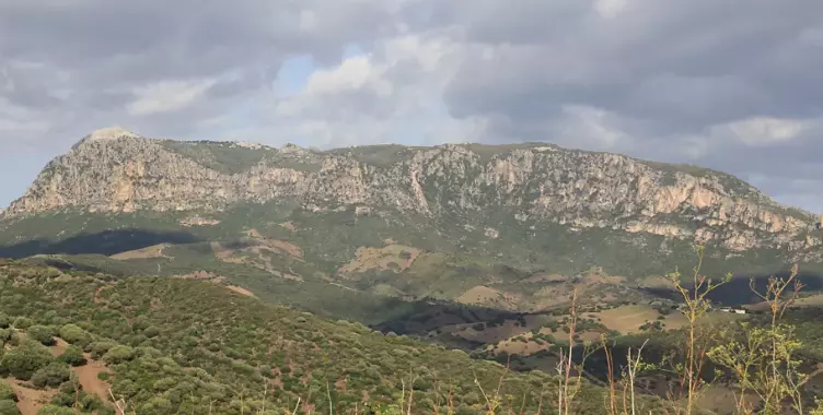 Il Monte Albo: Un Gioiello Naturale della Sardegna