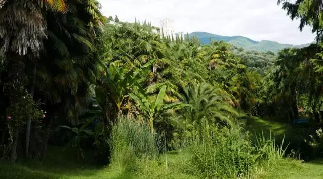 Un Paradiso Naturale sul Lago di Garda
