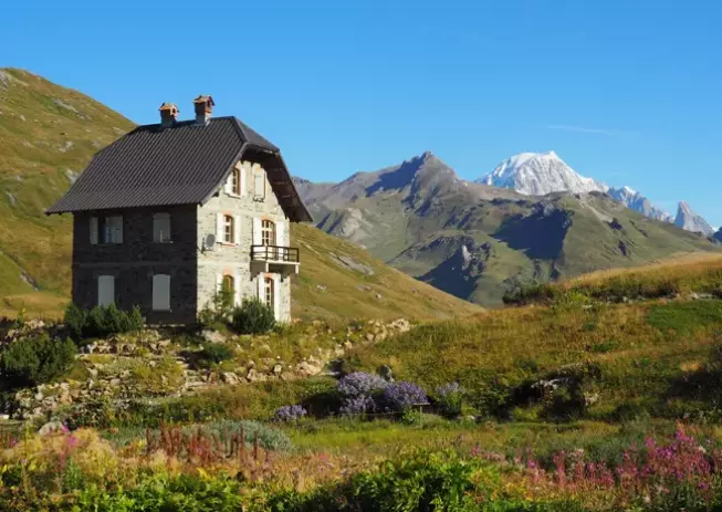 Esplora l'Incantevole Giardino Botanico Alpino Chanousia: Un'Oasi di Bellezza e Scoperta nelle Alpi