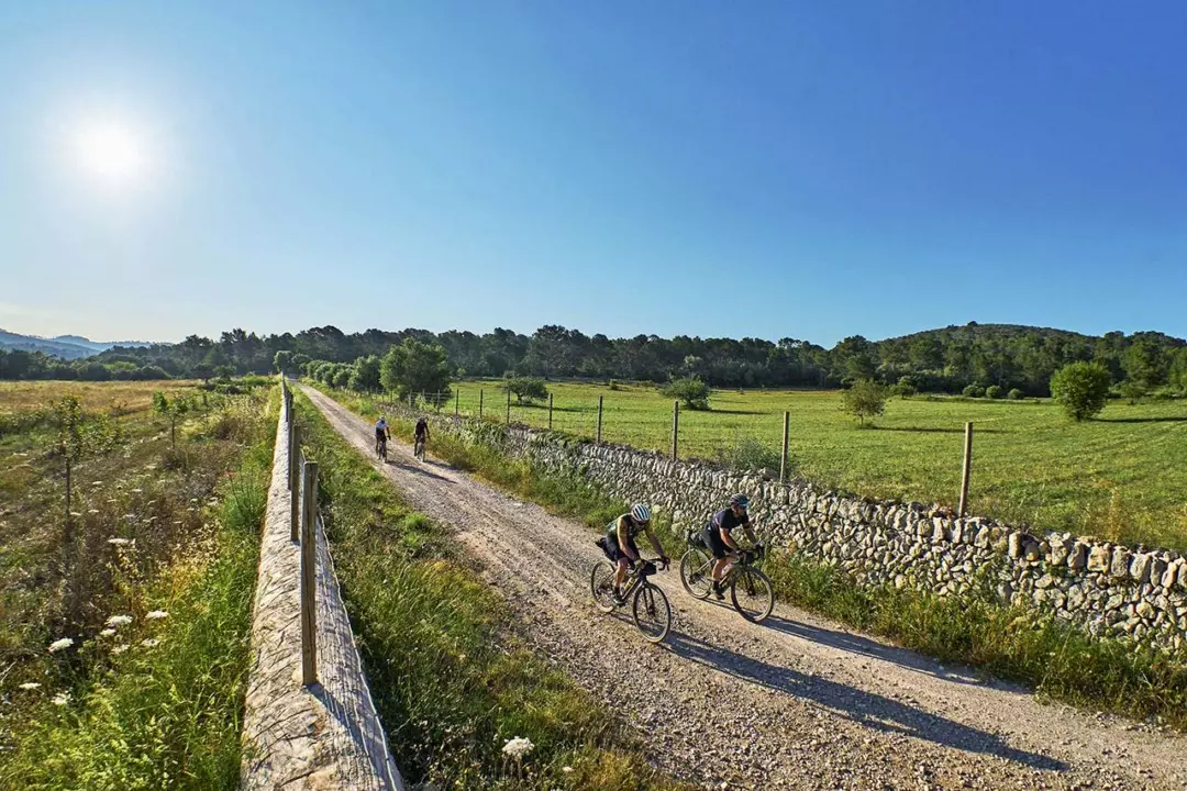 Maiorca in Bici Gravel: Itinerari Incantevoli tra Natura e Cultura