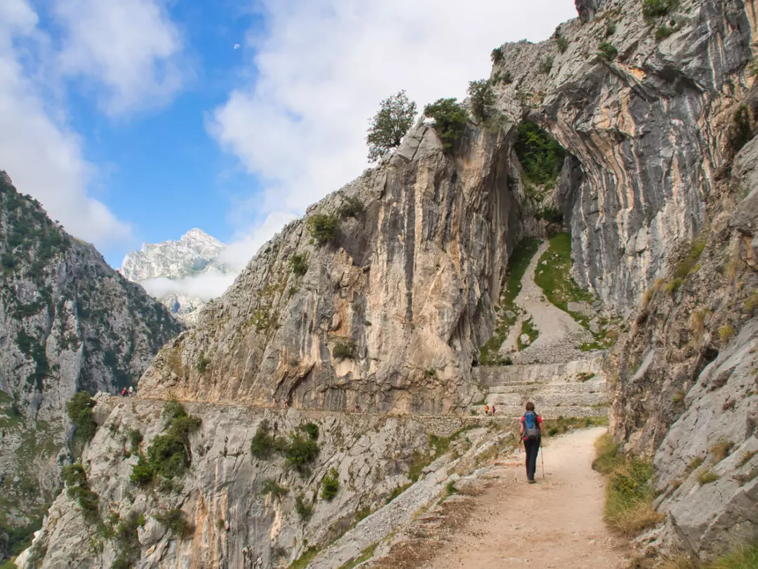 I Percorsi Naturalistici Più Affascinanti del Mondo: Dalle Vette Alle Coste