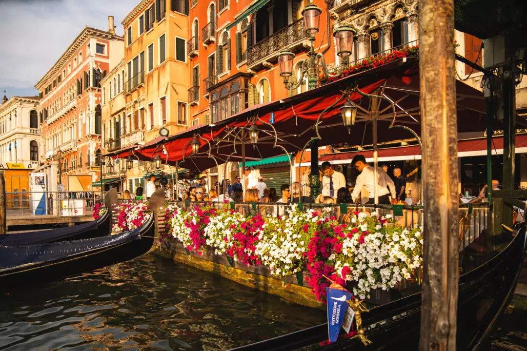 Guida Gastronomica alla Biennale di Venezia: Sapori Autentici e Convenienti