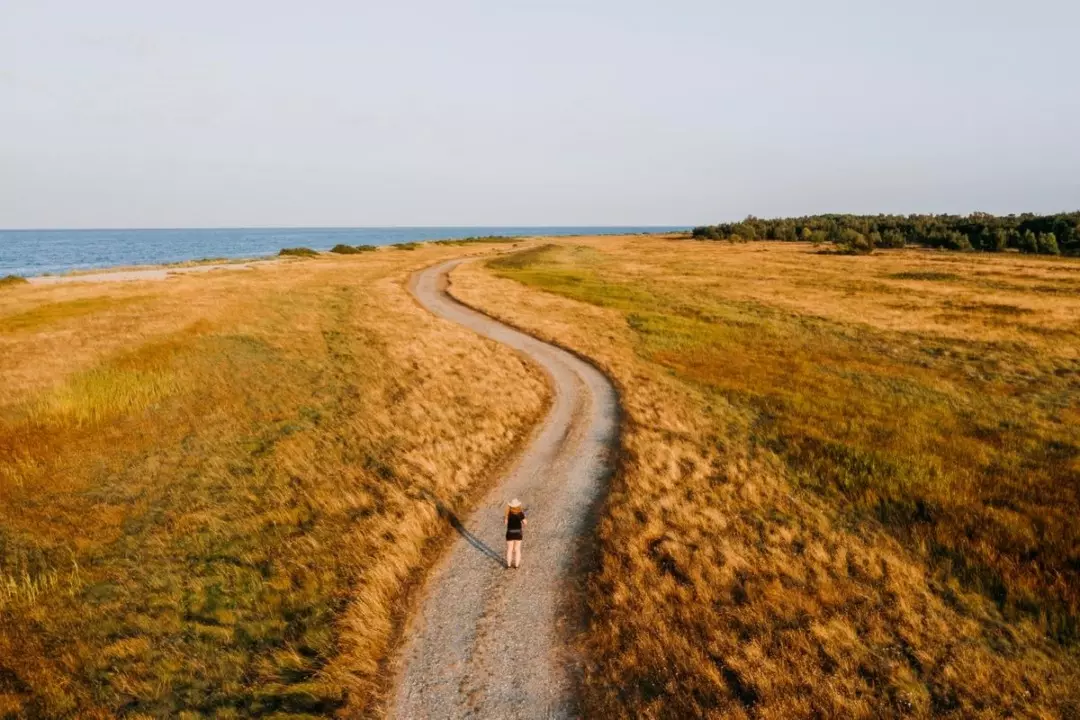 Danimarca: Un Viaggio Lento Tra le Isole Segrete di Fine Estate