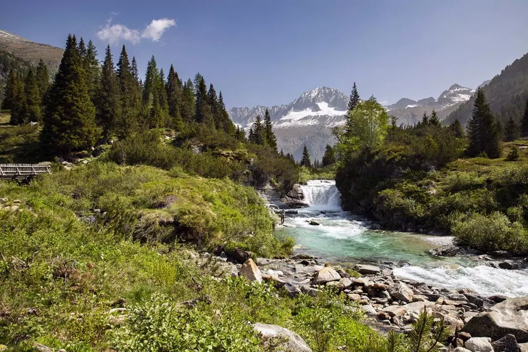 Esplorando le Meraviglie Nascoste del Trentino: Un Viaggio Lento tra Valli e Sentieri