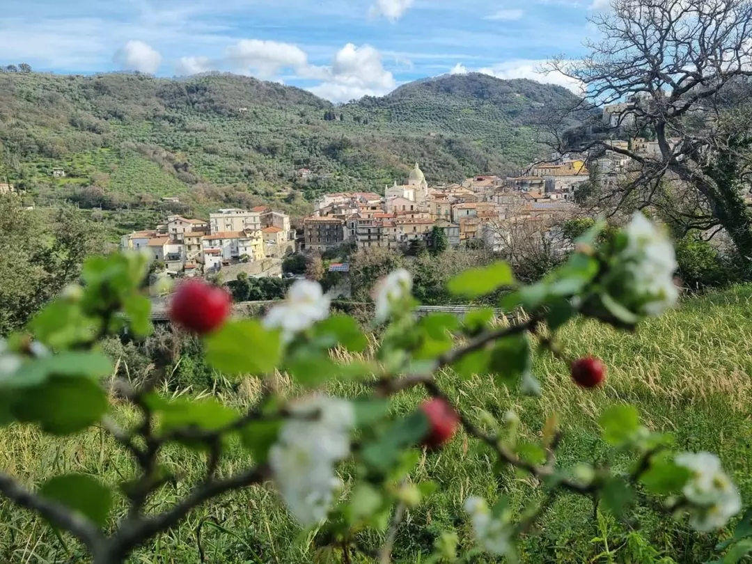 Nocera Terinese: Il Borgo Rinato tra Musica e Delizie Culinarie della Calabria
