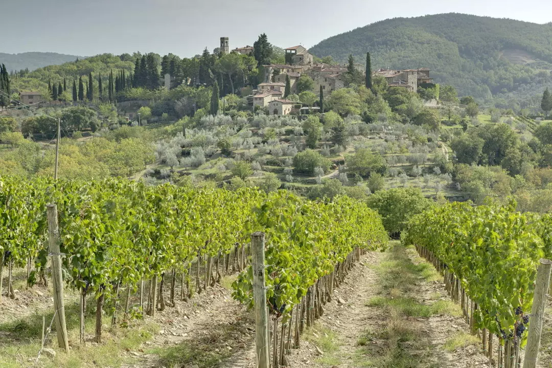 Inaugurata la Cantina del Cabreo: Un Futuro di Enoturismo d'Eccellenza nel Chianti