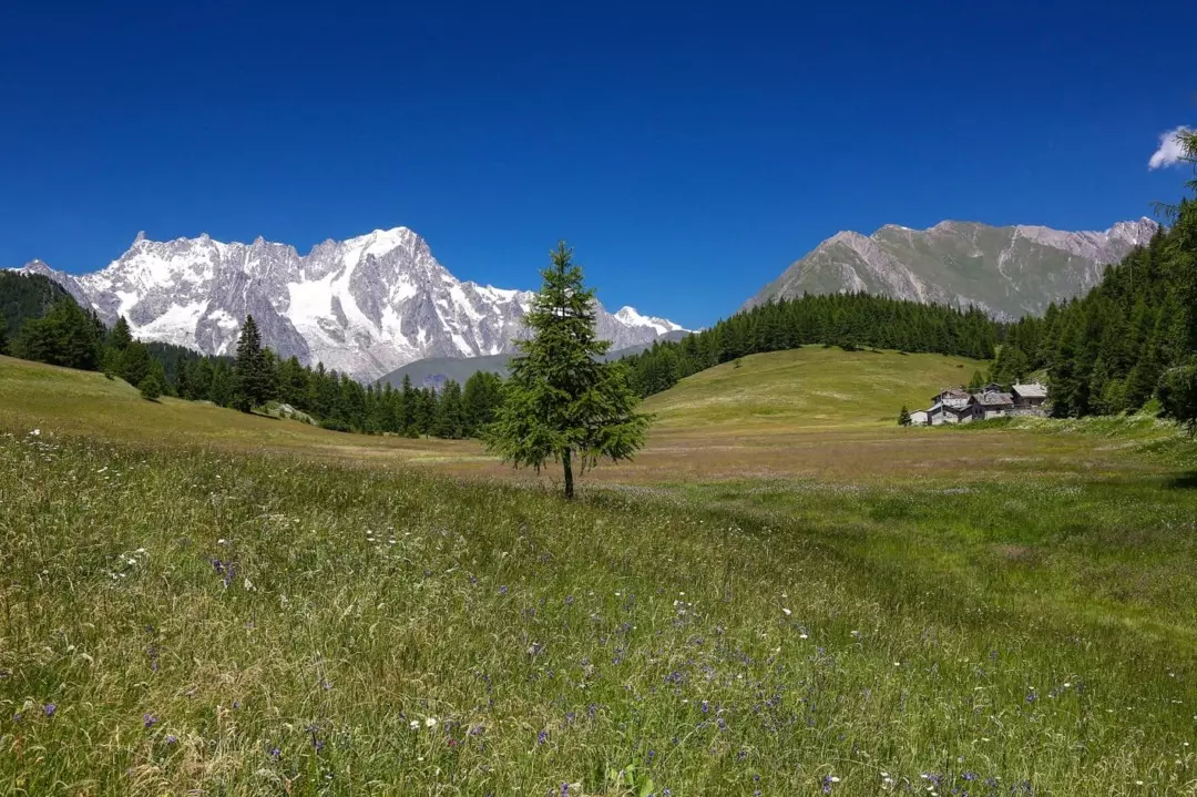 Valdigne: Gemme Alpine ai Piedi del Monte Bianco