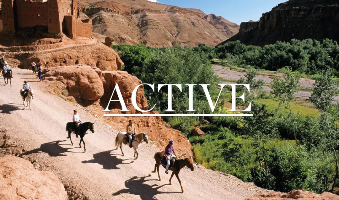 Avventura Equestre sull'Alto Atlante: Tra Deserto e Cultura Marocchina