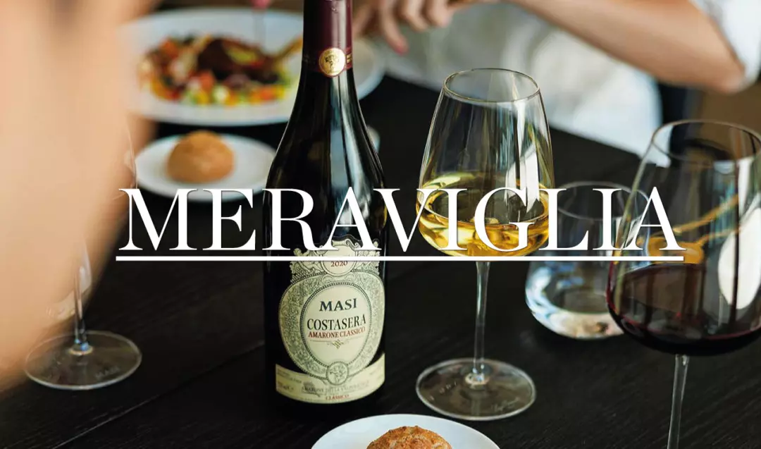 Valpolicella Classica: Un Viaggio Sensoriale nell'Universo dell'Amarone con Masi