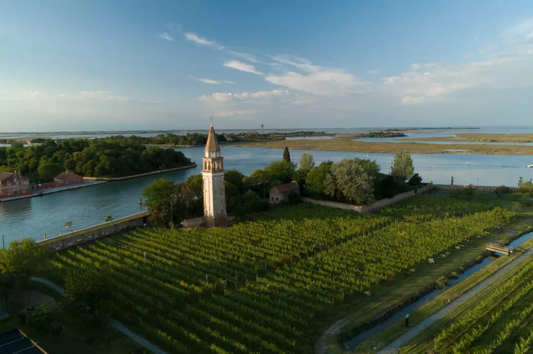 Un Viaggio Incantevole nella Laguna Nord di Venezia: Arte, Gusto e Storia tra le Isole