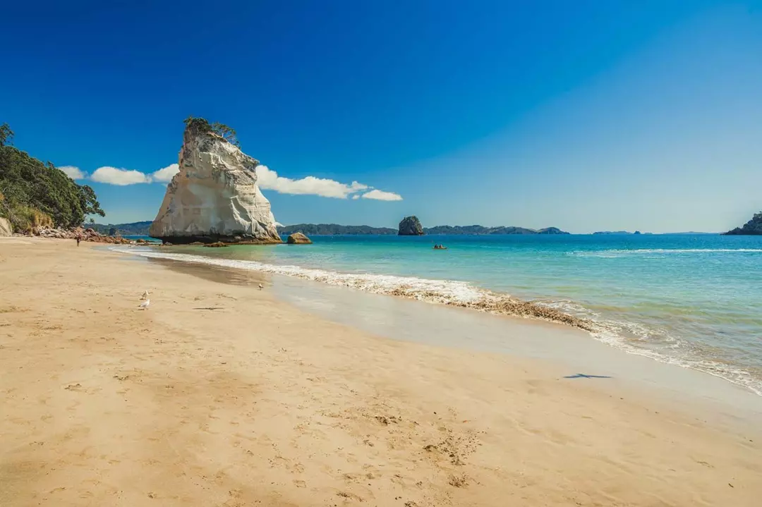 Penisola di Coromandel: Un Viaggio nell'Anima Naturale e Storica della Nuova Zelanda