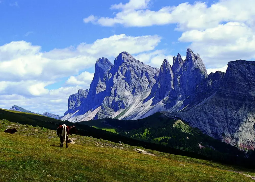 Dolomiti: Tesori Naturali delle Alpi Italiane
