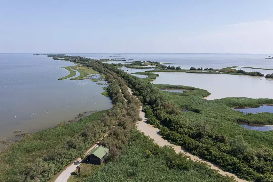 Ravenna: Un Faro di Biodiversità e Cultura Marittima in Italia