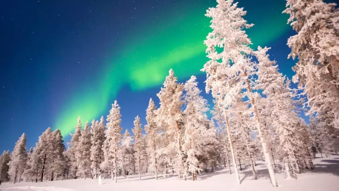 Esplorando la Magia Artica: Un Viaggio Attraverso la Lapponia Finlandese