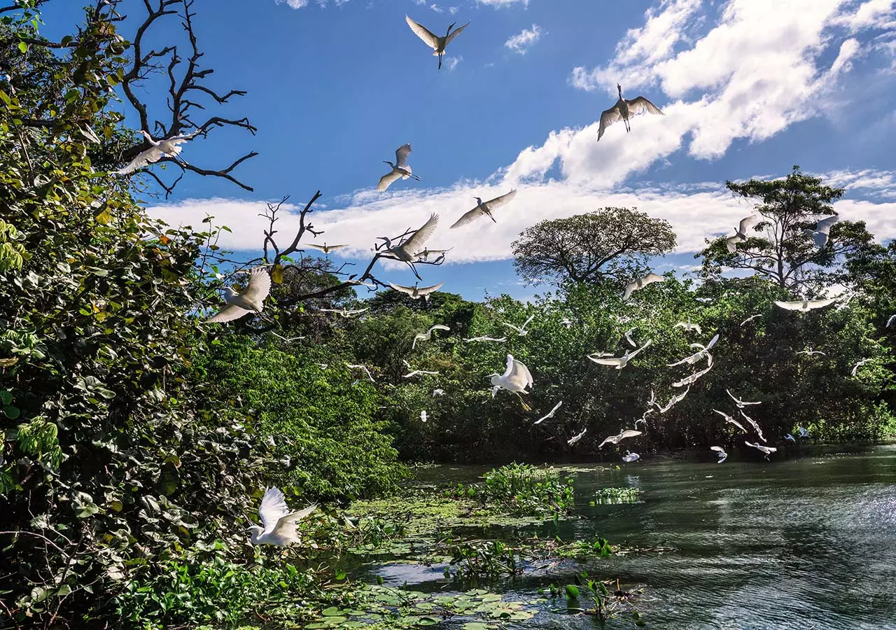 Nicaragua: Un Tesoro Nascosto tra Foreste Lussureggianti, Cacao e Cordialità Autentica