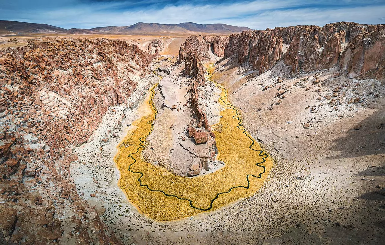 Argentina: Un Viaggio Estremo nella Puna, tra Paesaggi Marziani e Silenzi Infiniti