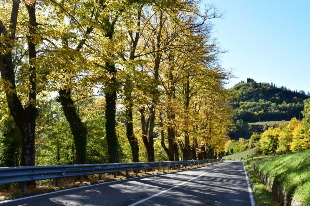 Passo del Muraglione: un'oasi tra storia, natura e avventura