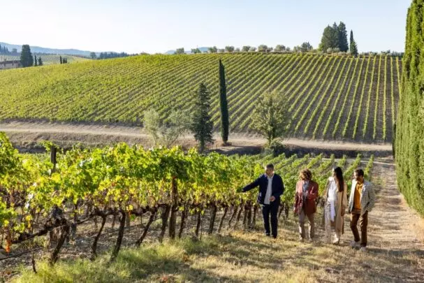 Promozione dell'Enoturismo: Un Nuovo Impulso per il Settore Vitivinicolo Italiano