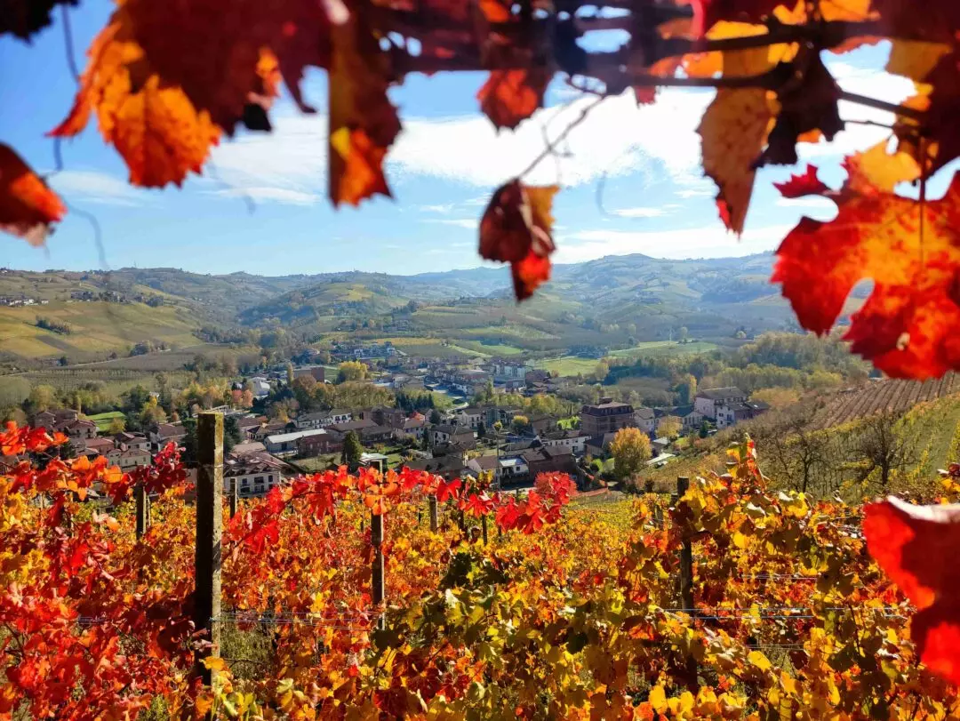 Dieci mete imperdibili per gli amanti del vino in Europa
